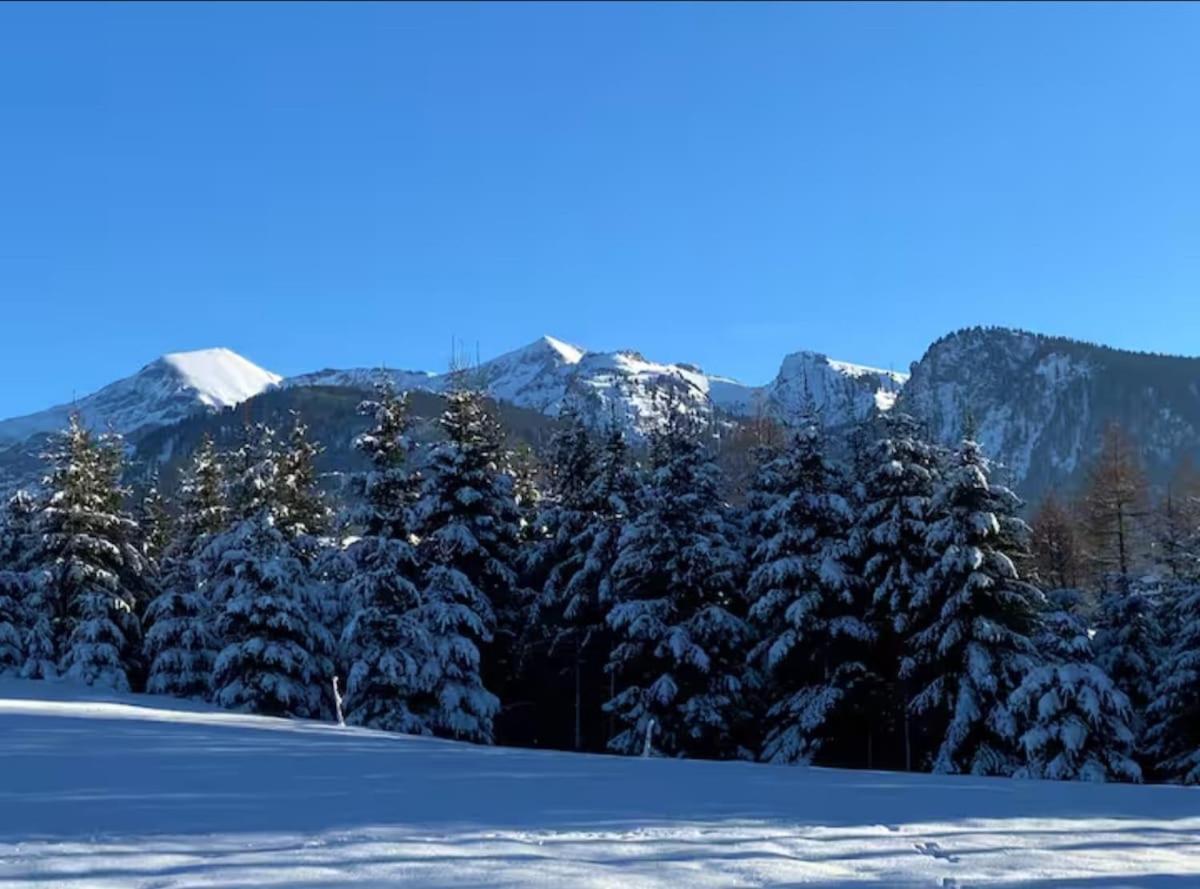 Unterkunft Mit Alpenblick Aeschi Bei Spiez Exterior photo